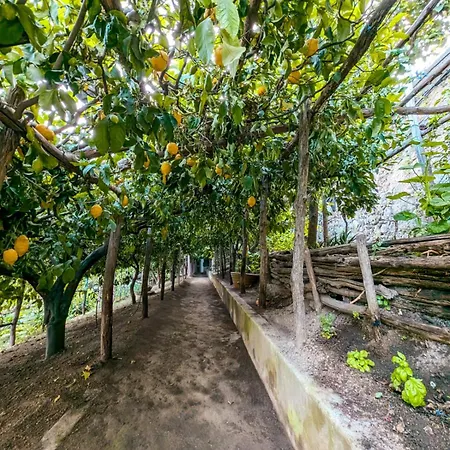Casa Emi Апартаменты *